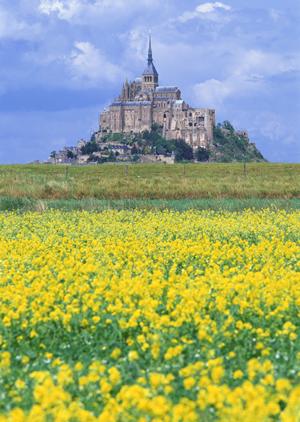 香川県でオリジナル一戸建てを建てるなら石田工務店へ